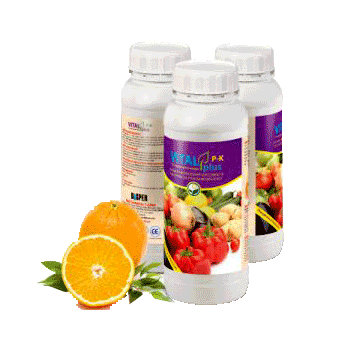 کود ویتال پلاس پی کا داتیس