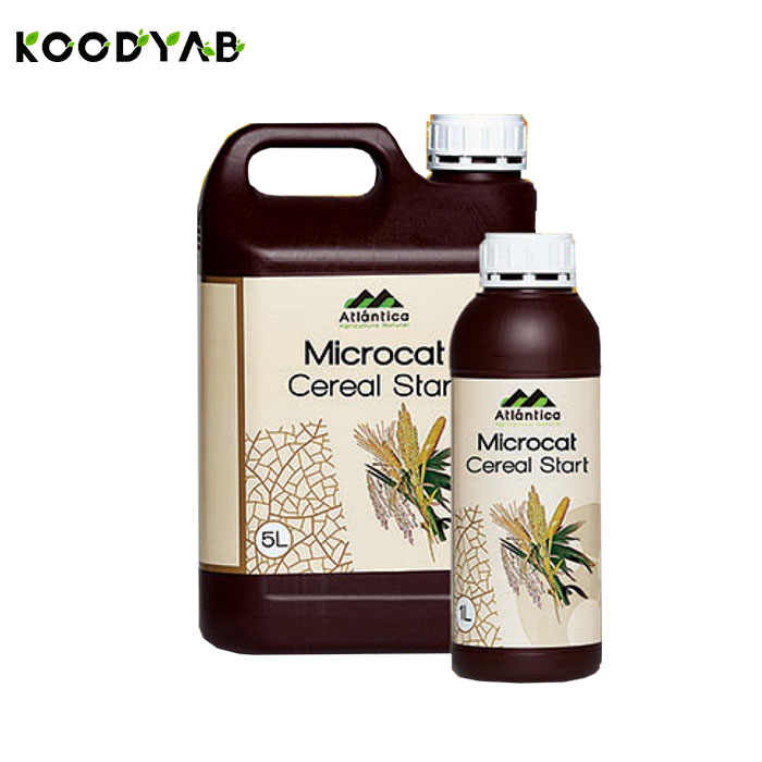 کود میکروکت سرال استارت آتلانتیکا