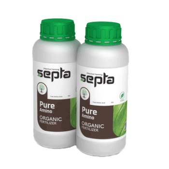 کود پور آمینو سپتا