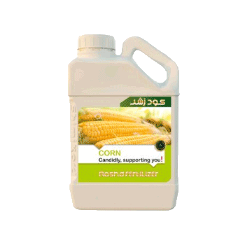 کود ذرت رشد