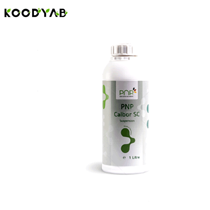 کود کلبور اس سی  پی ان پی