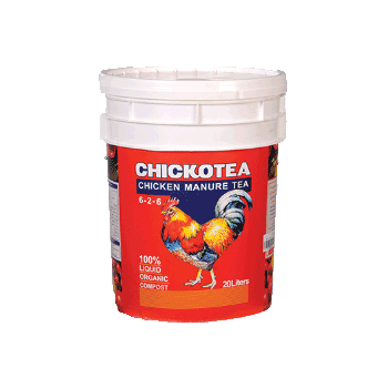 کود چیکن ماچور تی چیکوتی