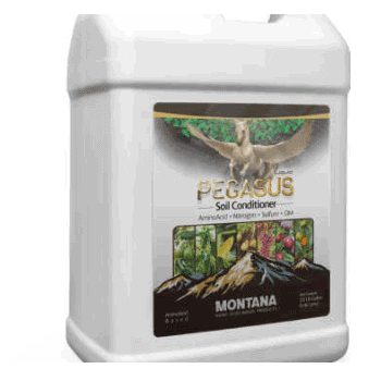 کود پگاسوس مونتانا