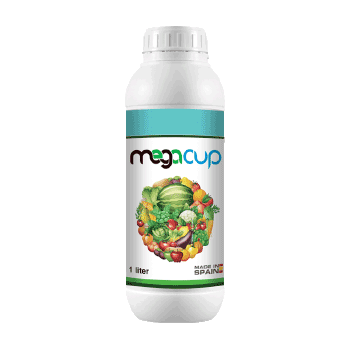 کود مگا کاپ مگاکراپ