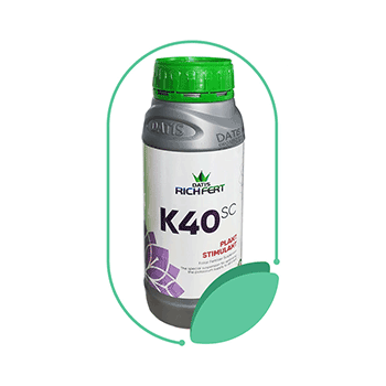 کود ریچ فرت کلسی 40 اس سی داتیس