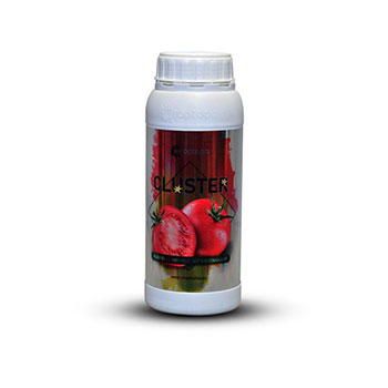 کود  کلاستر راپتوپیا