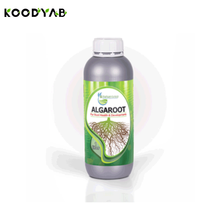 کود آلگاروت پرهام