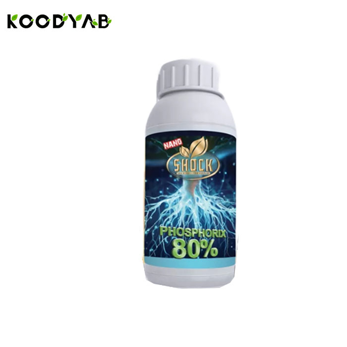کود فسفر بالا 80 درصد شوک 1 لیتری شوک