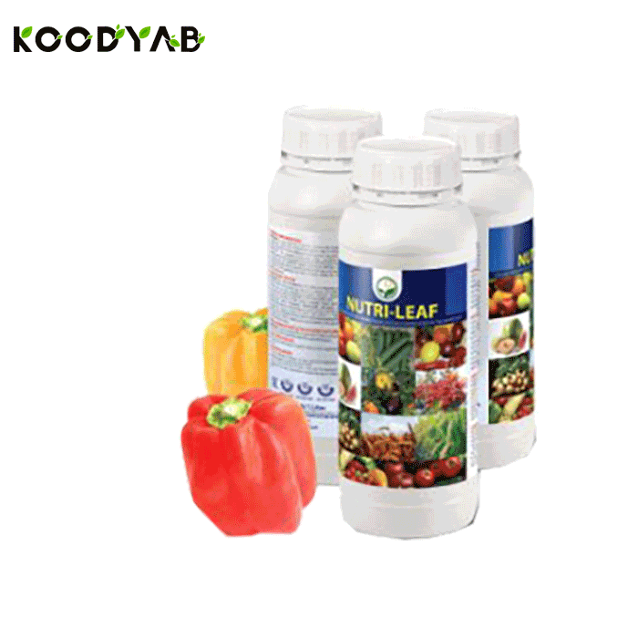 کود نوتری لیف داتیس