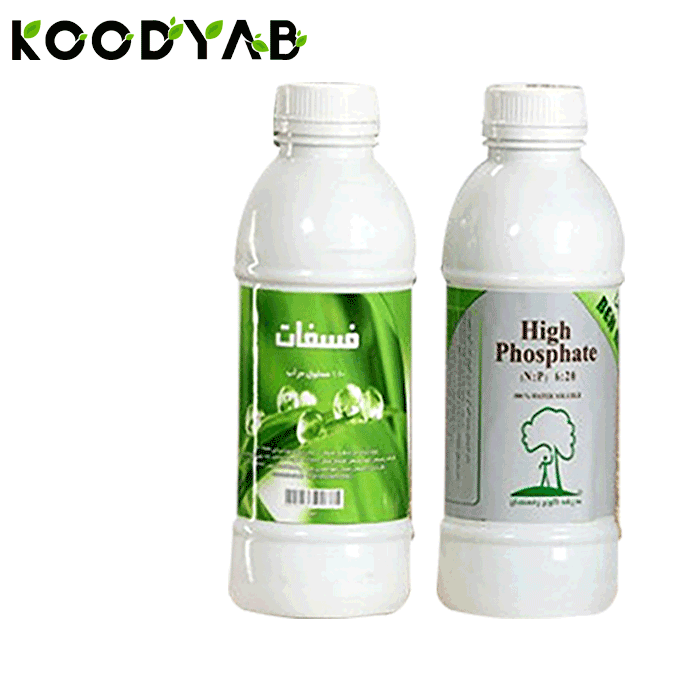 کود فسفات به ماکس