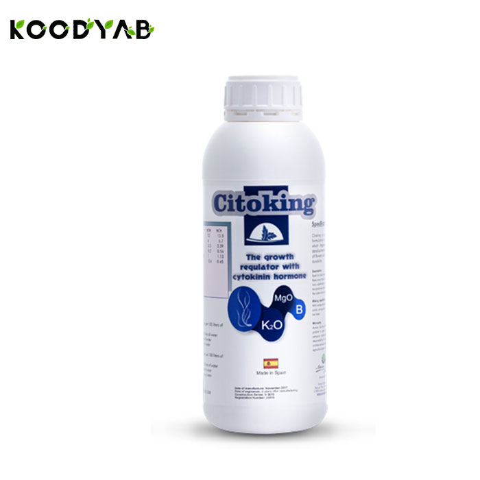 کود سیتوکینگ آنوکا