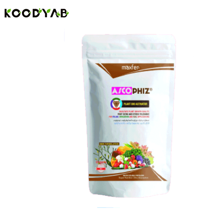 کود جلبک دریایی آسکوفیز ماکسفر