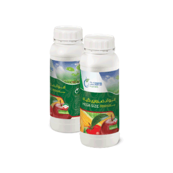 کود مگا سایز داتیس