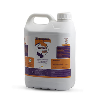 کود کارکت سالت آنوکا