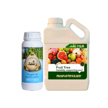 کود فروت تری  رشد 