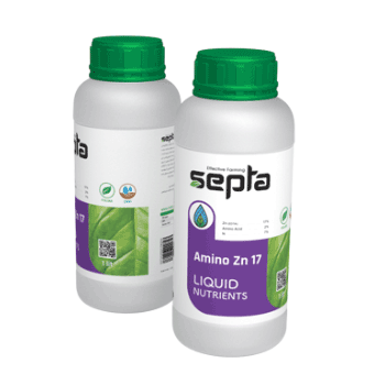 کود آمینو روی17 سپتا