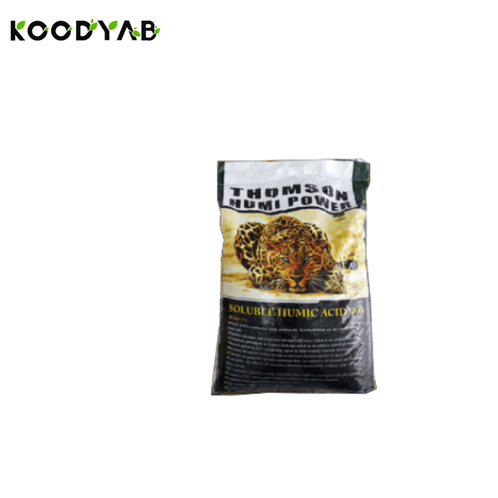 کود تامسون هومی پاور هومت 