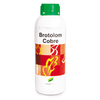 کود بروتولوم کبر آلفردواینستا