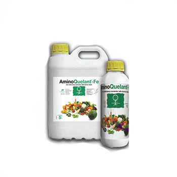 کود آمینو کوالانت آهن بیوبریکا