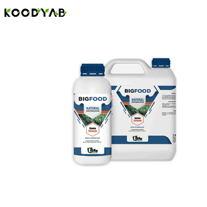 کود بیگ فود لایف