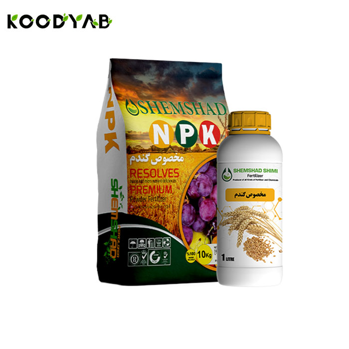 کود مخصوص گندم جامد شمشاد شیمی  