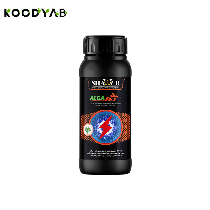 کود عصاره جلبک دریایی  شاور