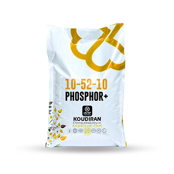 کود ماکرو کامل پودر01 52 10 کودیران 