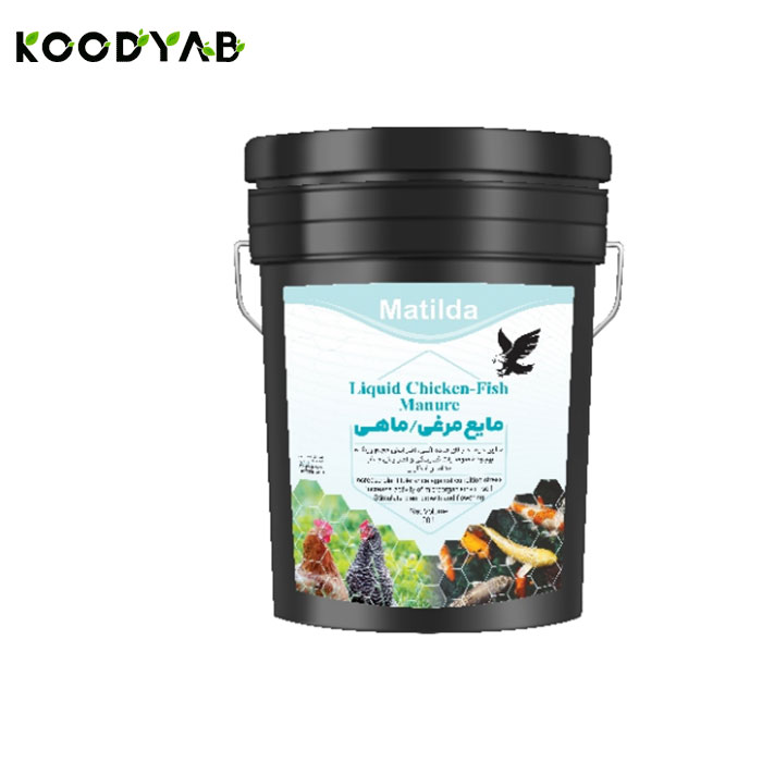 کود مرغی ماهی ماتیلدا