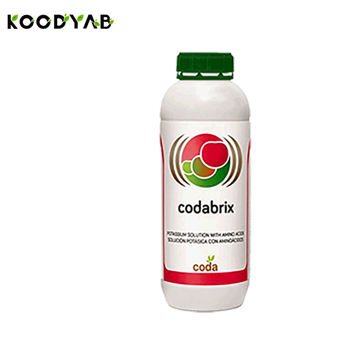 کود بریکس کدا