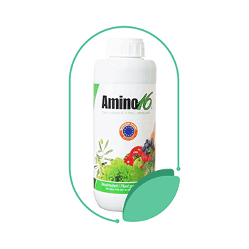 کود آمینو 16 ای وی وای پی