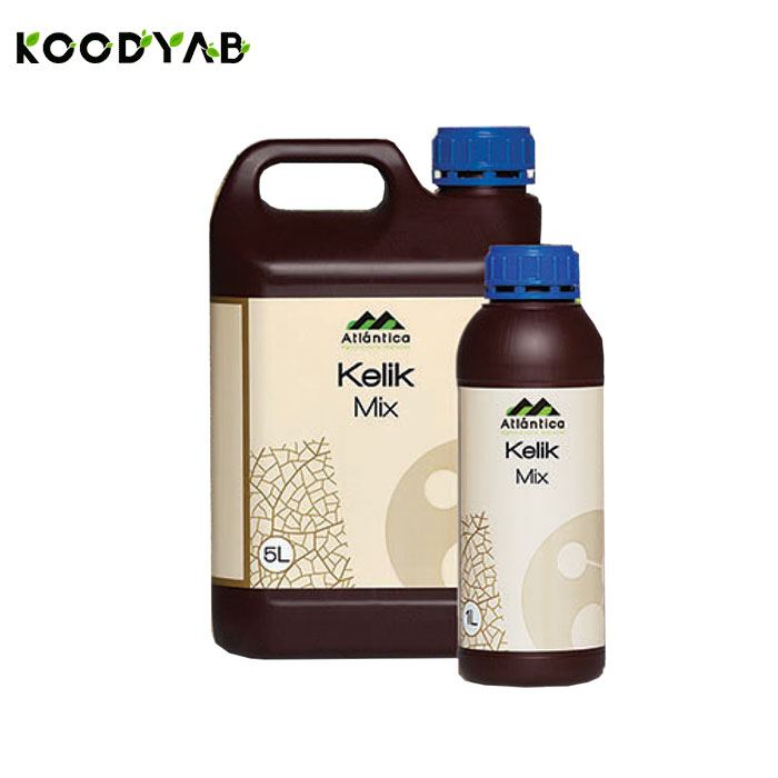 کود کلیک میکس  آتلانتیکا