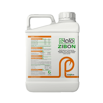 کود پلاتو زیبونفروت ست پلاتو