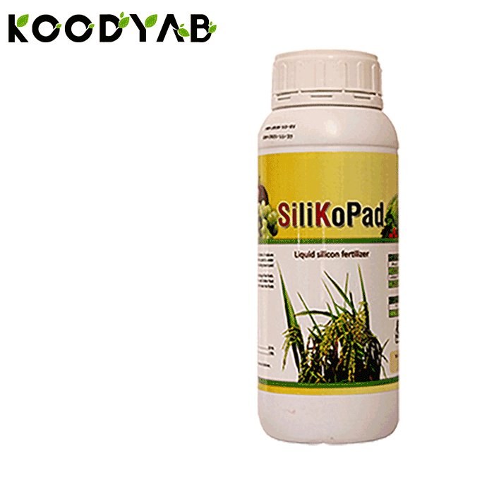 کود سیلیکو پاد پادنا