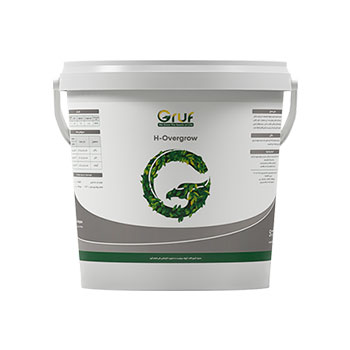 کود اچ اورگرو گروف