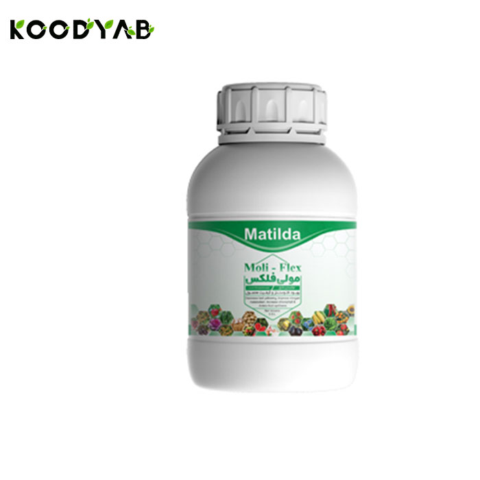 کود مولی فلکس ماتیلدا