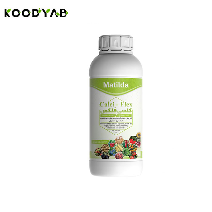 کود کلسی فلکس ماتیلدا