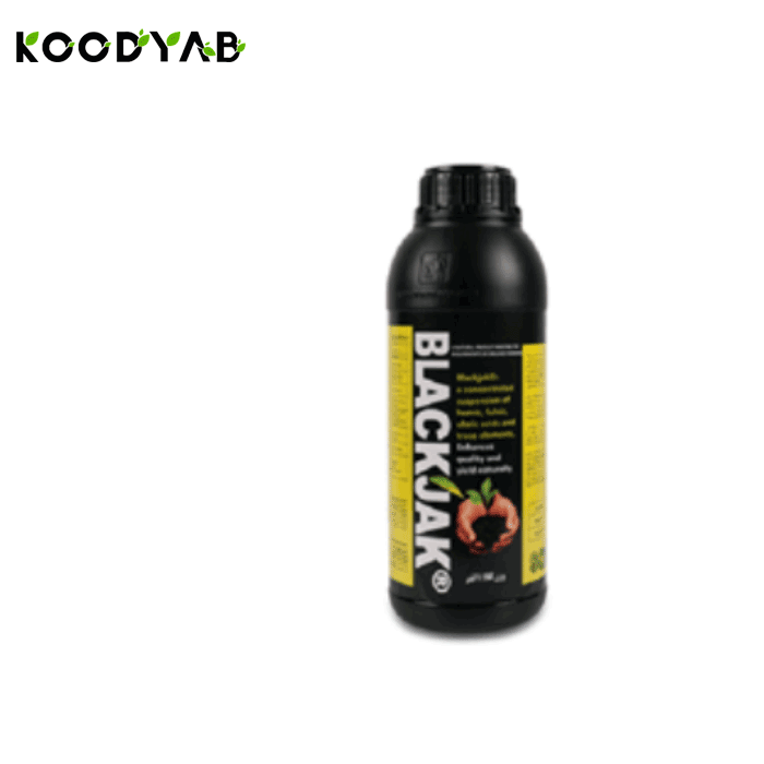 کود بلک جک گیتا شیمی سهند