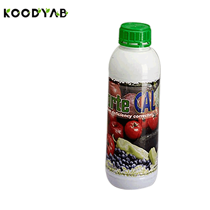 کورت کورت کلسیم کورتسا