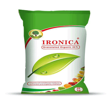 کود آیررونیکا زرین گسترباستان