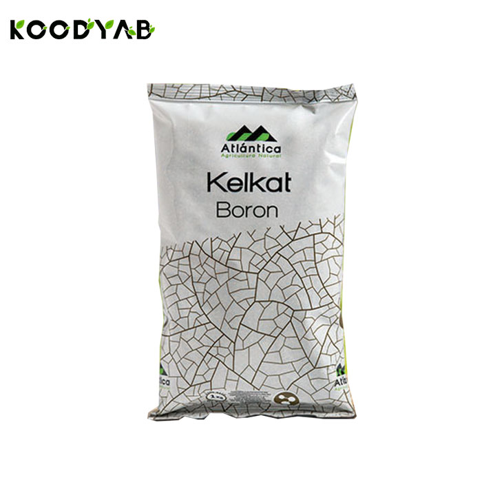 کود کلکت بر آتلانتیکا