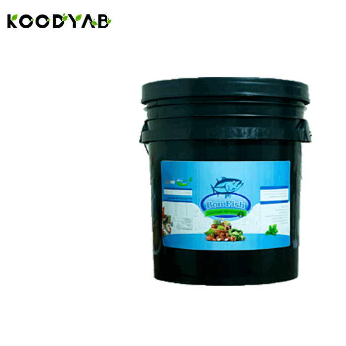 کود بن فیش بن شت