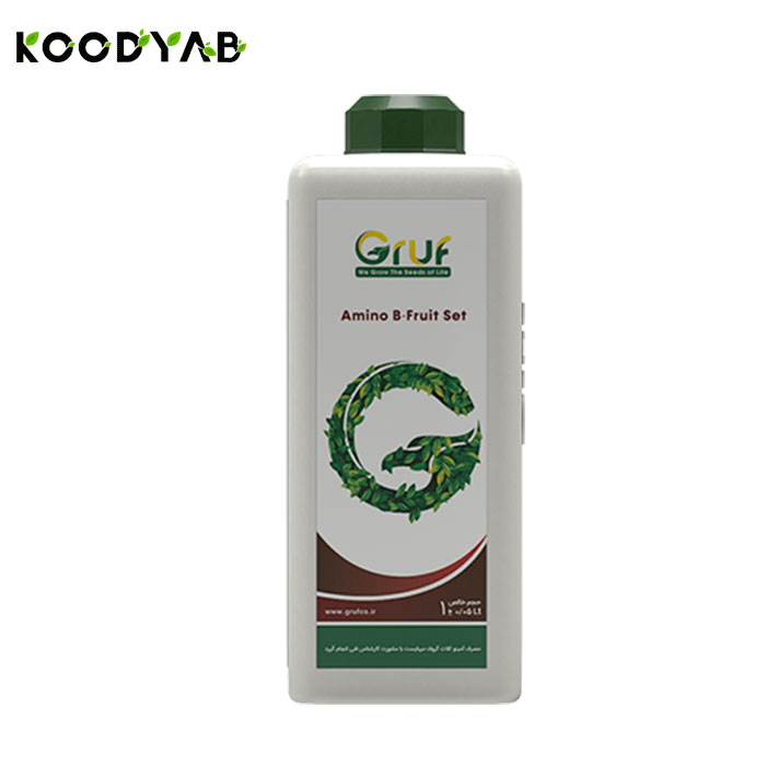 کود آمینو بر فروت ست گروف