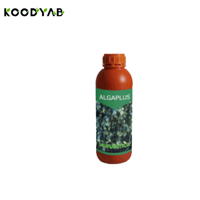 کود آلگا پلاس اورانتیکا