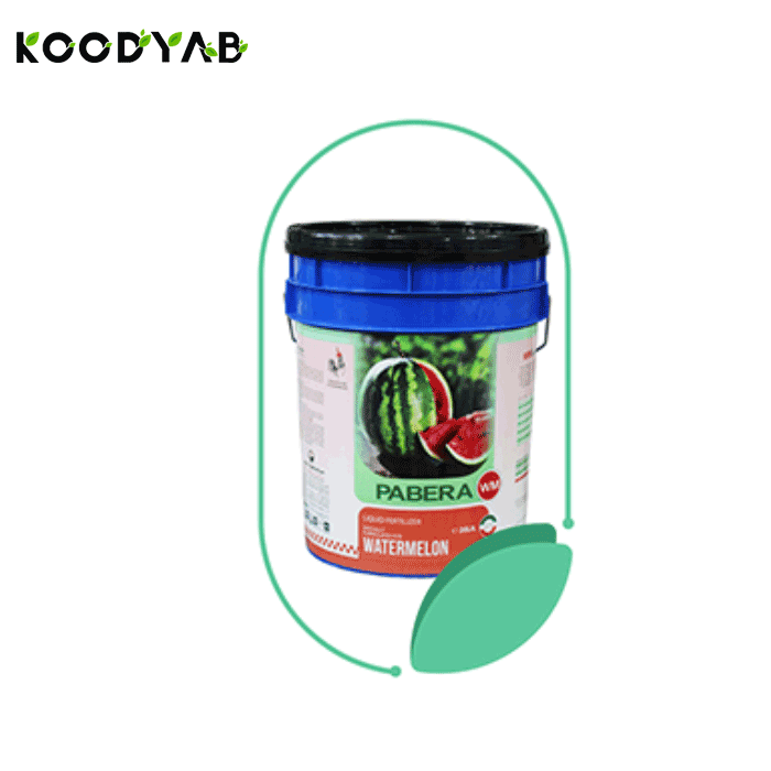 کود پابرا هندوانه ترنم سبز زاینده رود