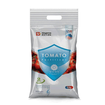 کود 19 19 19 کینجنتا