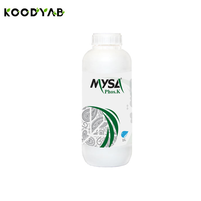 کود فوسکا مایسا