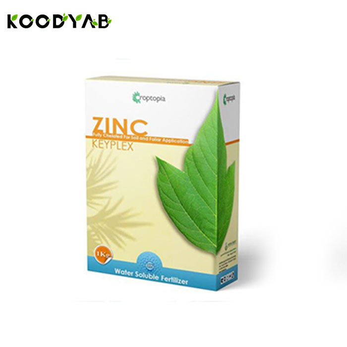 کود کی پلکس روی راپتوپیا