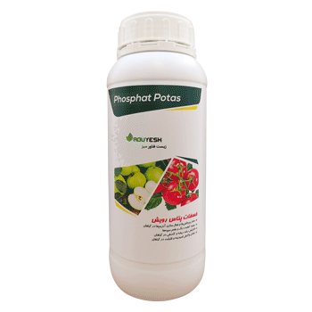 کود فسفات پتاس رویش