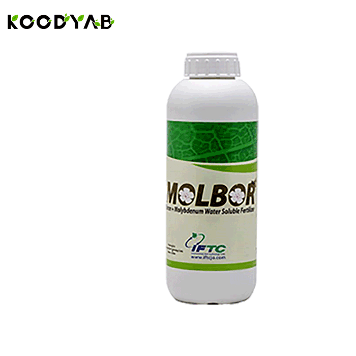 کود مولبور آی اف تی سی