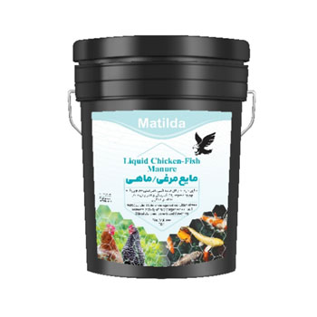 کود مرغی ماهی ماتیلدا